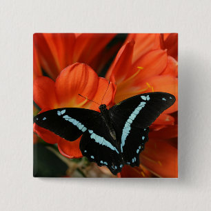 Butterflies BLUEY Vierkante Button 5,1 Cm