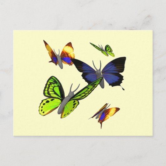 Butterflies Briefkaart (Voorkant)