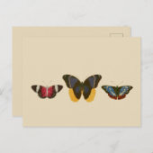  Butterflies Briefkaart (Voorkant / Achterkant)
