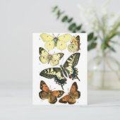 Butterflies Briefkaart (Staand voorkant)