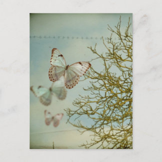 Butterflies Briefkaart