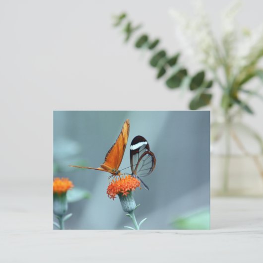 Butterflies Briefkaart (Staand voorkant)