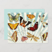  Butterflies Briefkaart (Voorkant / Achterkant)
