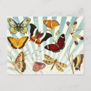  Butterflies Briefkaart