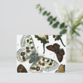 Butterflies Briefkaart (Staand voorkant)