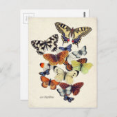  Butterflies Briefkaart (Voorkant / Achterkant)