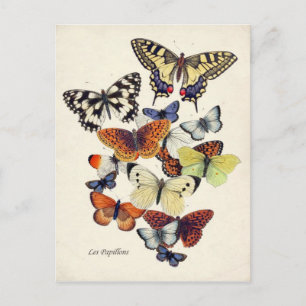  Butterflies Briefkaart
