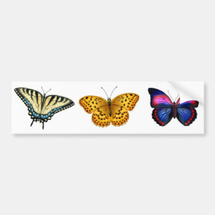 Butterflies Bumpersticker