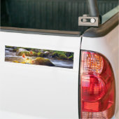 Butterflies Bumpersticker (Op Truck)