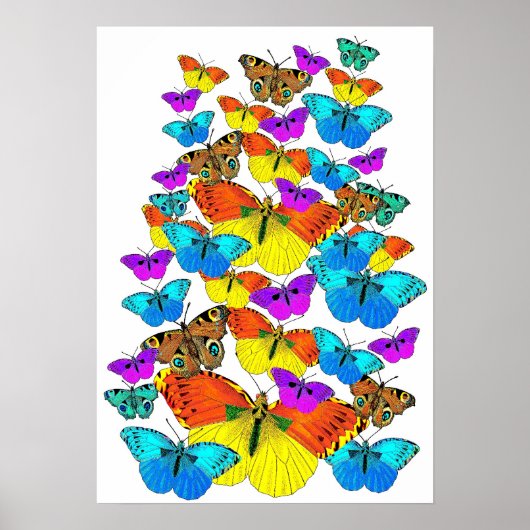 Butterflies. Butterflies. Poster (Voorkant)