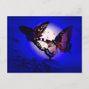 Butterflies - Butterfly Briefkaart