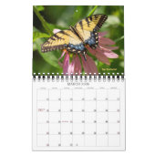 Butterflies Calendar Kalender (Mar 2026)