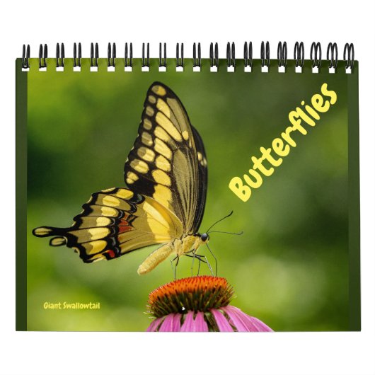 Butterflies Calendar Kalender (Hoes)