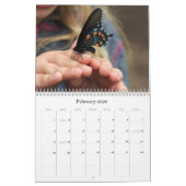 Butterflies Calendar Kalender (Feb 2026)