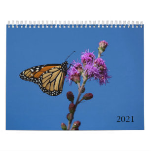 Butterflies Calendar Kalender