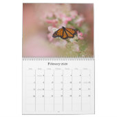 Butterflies Calendar Kalender (Feb 2026)
