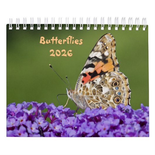 Butterflies Calendar Kalender (Hoes)
