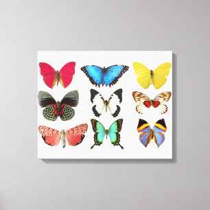 Butterflies Canvas Afdrukken
