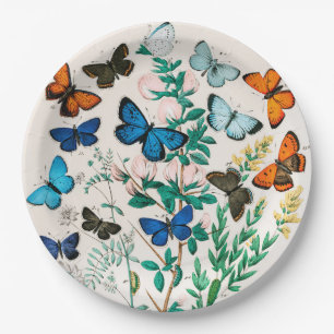 Butterflies, Caterpilars van William Forsell Kirby Papieren Bordje