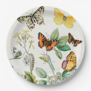 Butterflies, Caterpilars van William Forsell Kirby Papieren Bordje