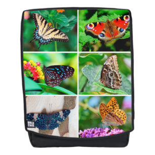 Butterflies Collage Peacock Blue Tiger Buckeye Rugtassen