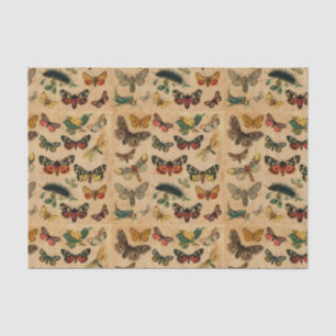 Butterflies Collectie  Antiek ontkoppeling Tissuepapier