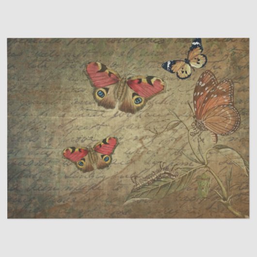 Butterflies die op het Oude Manuscript vorsen Tissuepapier (Voorkant)