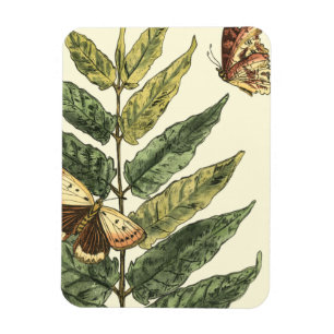 Butterflies en bladeren met zwart Lijst Magneet