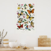 Butterflies en Moths 2 Poster (Keuken)