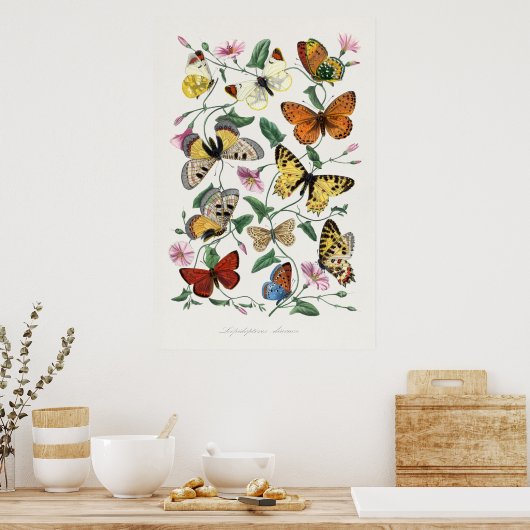 Butterflies en Moths 2 Poster (Keuken)