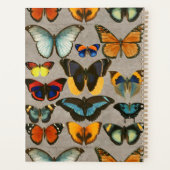 Butterflies Entomology Colorful Biology Planner (Achterkant)