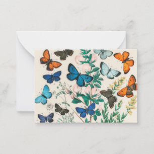 Butterflies,  illustratie notitiekaartje