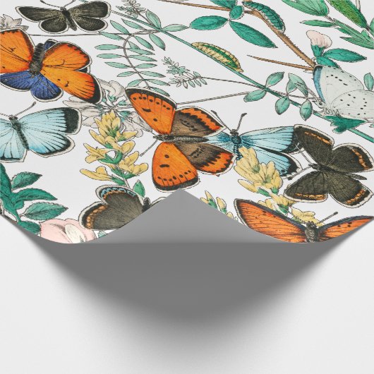 BUTTERFLIES IN DE NATUUR CADEAUPAPIER (Hoek)