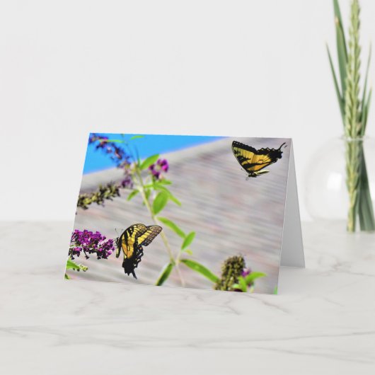 Butterflies, kaart (Voorkant)