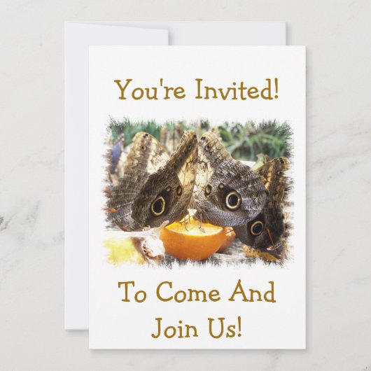 BUTTERFLIES KAART (Voorkant)