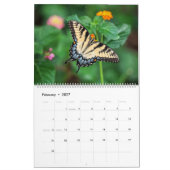Butterflies Kalender (Feb 2027)