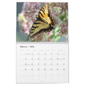 Butterflies Kalender (Feb 2026)