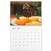 Butterflies Kalender (Mar 2027)