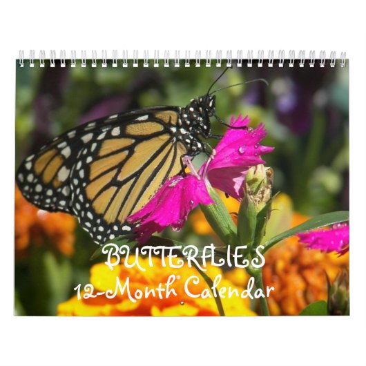 Butterflies Kalender (Hoes)
