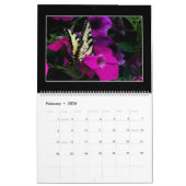 Butterflies Kalender 2023 van Tom Minutolo (Feb 2026)