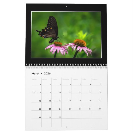 Butterflies Kalender 2023 van Tom Minutolo (Mar 2026)