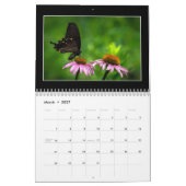Butterflies Kalender 2023 van Tom Minutolo (Mar 2027)