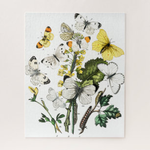 Butterflies Legpuzzel