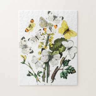 Butterflies Legpuzzel