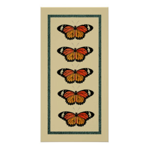  Butterflies Lente Prachtige Natuur Cute Perfect Poster