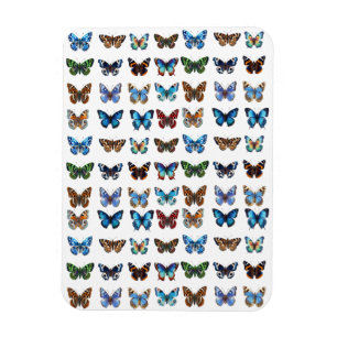 Butterflies Magneet