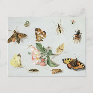 Butterflies, moden en andere insecten briefkaart