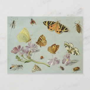 Butterflies, moden en andere insecten briefkaart