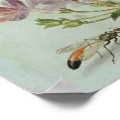 Butterflies, moden en andere insecten poster (Hoek)