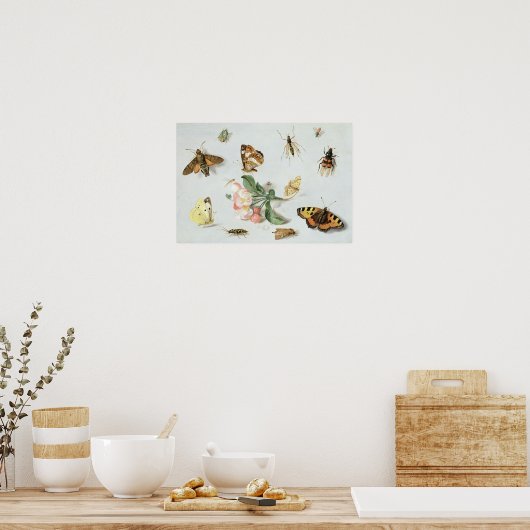 Butterflies, moden en andere insecten poster (Keuken)